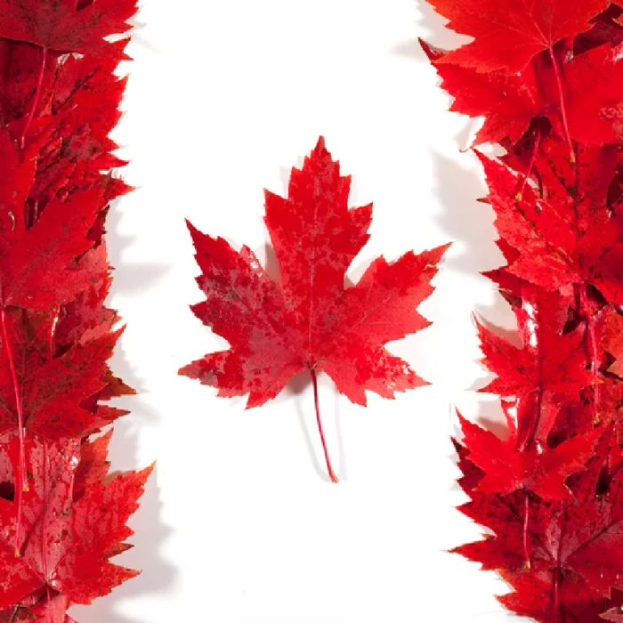 Studies show Canada is among the world’s best countries for start-ups